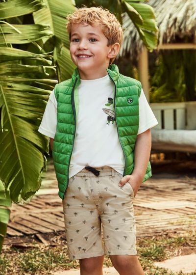 Palm Tree Printed Short