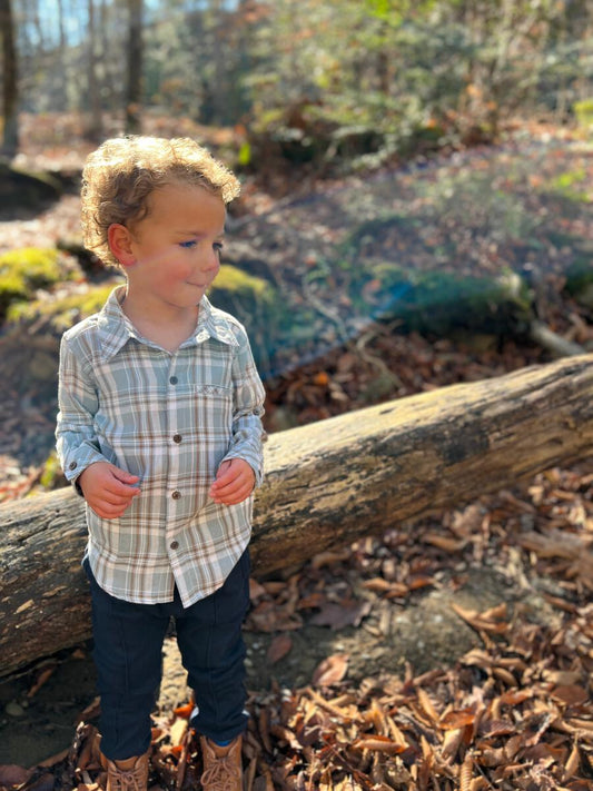 Atwood Sage/Gray Woven Button Down Shirt