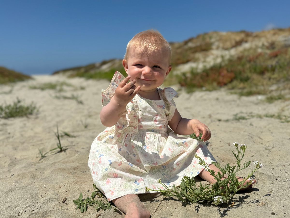 Pink Meadow Michele Dress