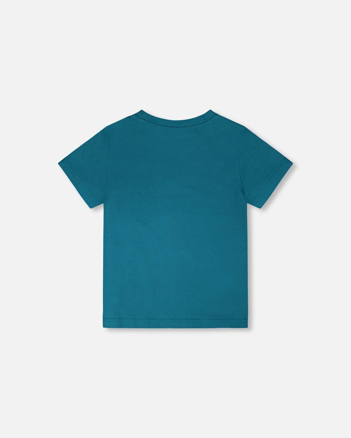 Organic Cotton Jersey T-Shirt With Print Atlantic Green