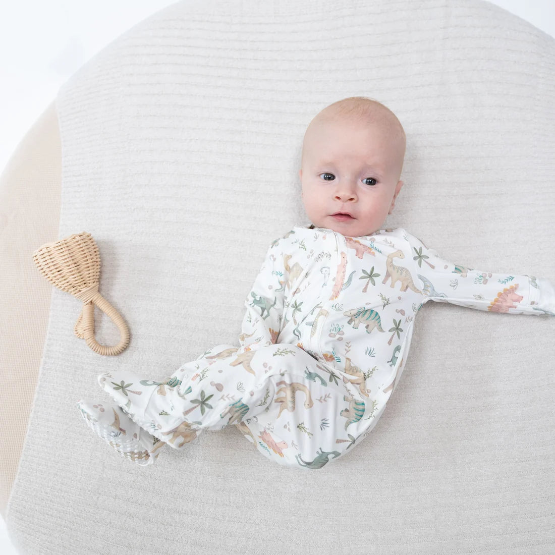 Sweet Baby Dinos  2 Way Zipper Footie