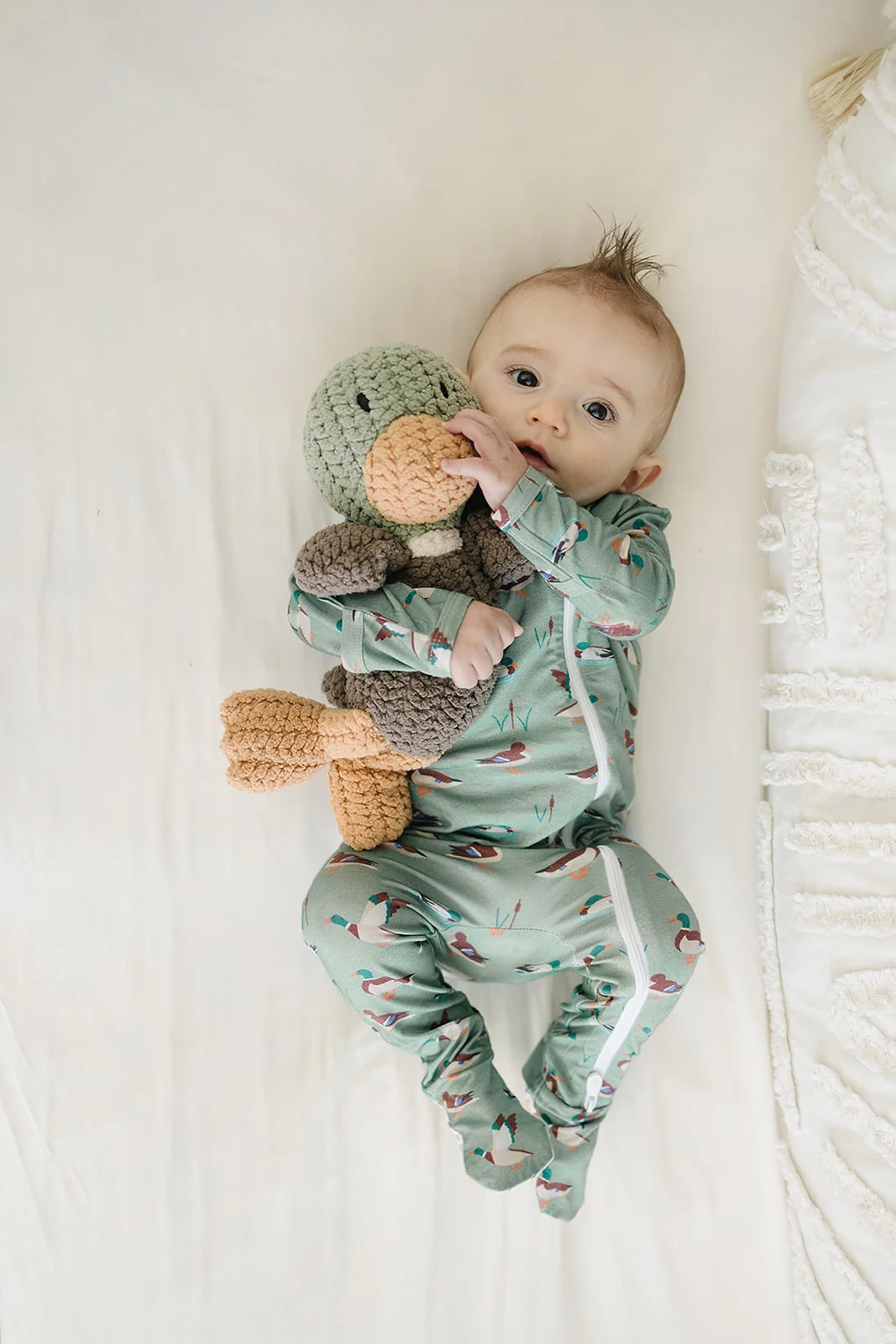 Velvet Fawn Lovie || Hunter the Mallard