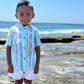Blue Stripe Newport Woven Shirt