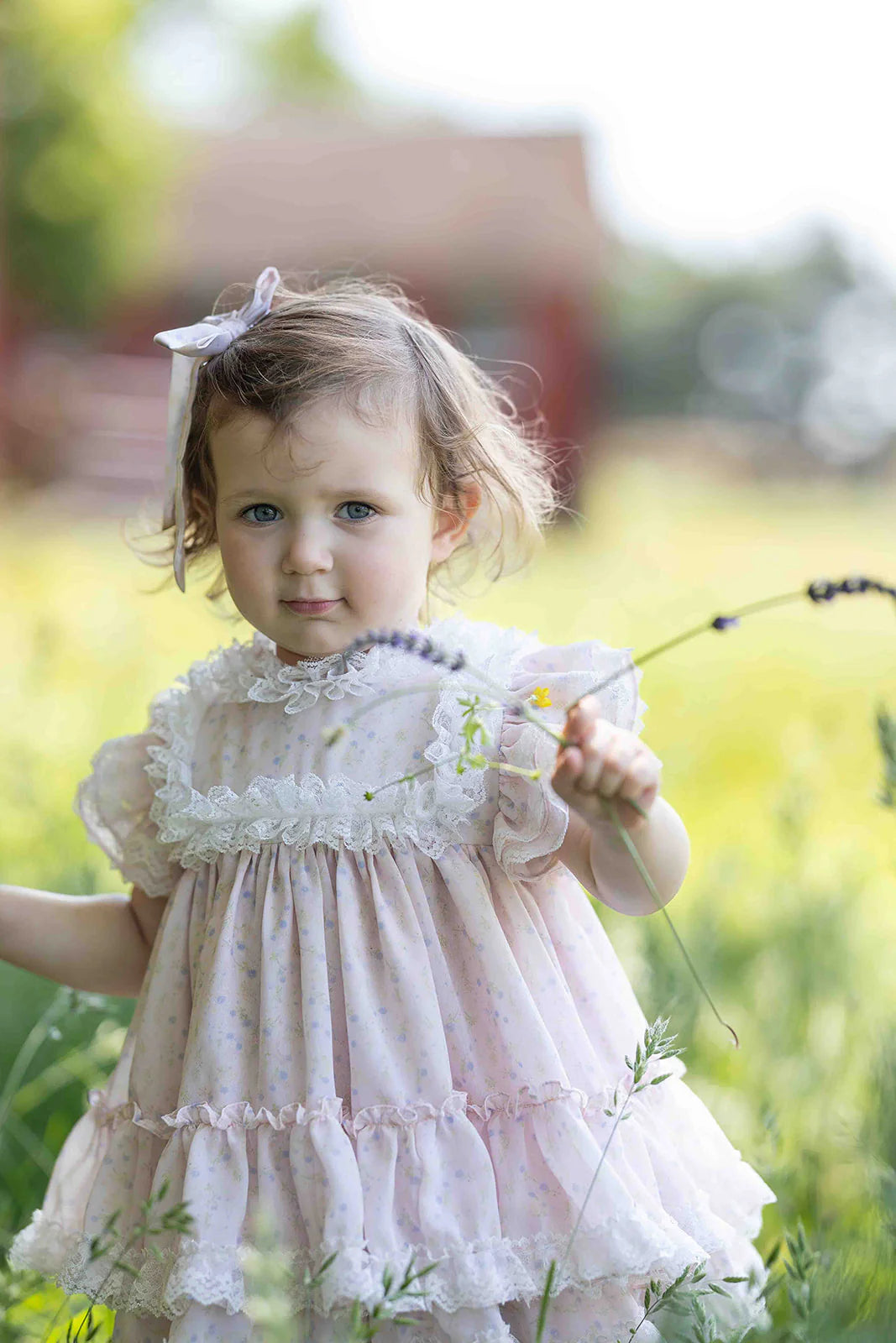 Whispering Lilacs Thalia Dress